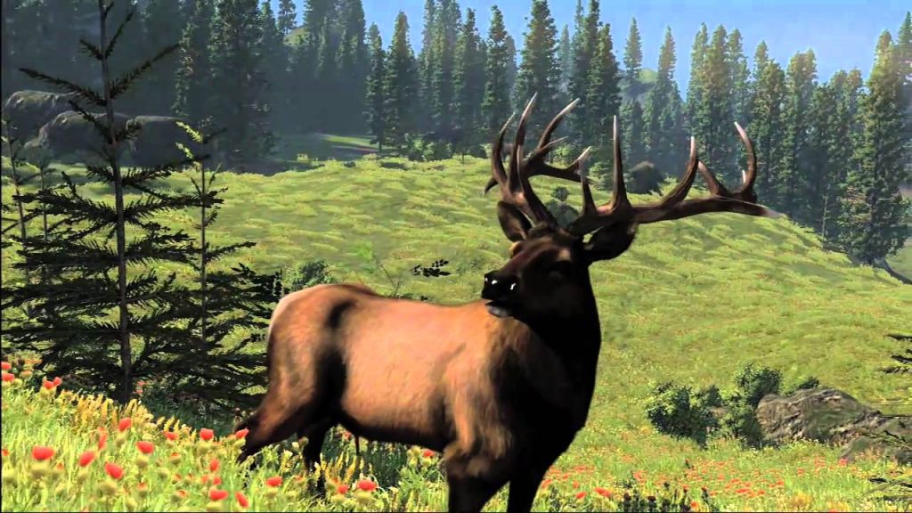Hunting Games for PS5 - Cabela's North American Adventures
